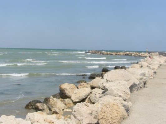 Cercetători din 15 ţări discută despre poluarea Mării Negre